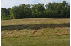 Property photo 11 - REAL ESTATE AUCTION - 26+/- ACRES IN 3 TRACTS IN SOUTHWEST ALLEN COUNTY, INDIANA